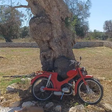 Torre Guaceto 3* Serranova