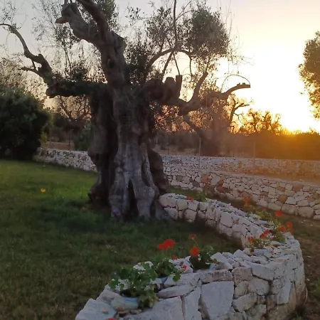 Torre Guaceto Gæstehus Serranova