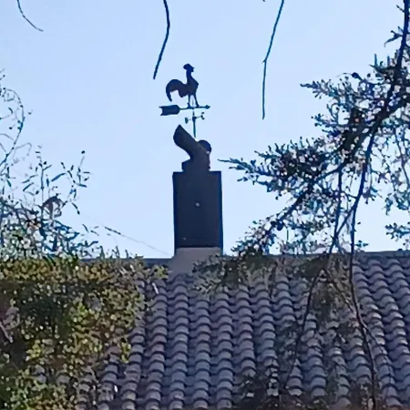 Torre Guaceto