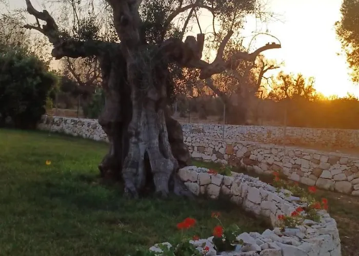 Torre Guaceto ゲストハウス Serranova