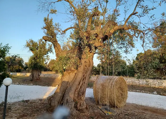 ゲストハウス Torre Guaceto Serranova